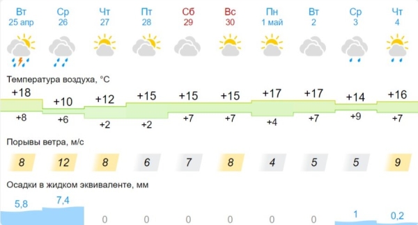 В Бресте ожидаются дожди и грозы.  В МЧС напомнили правила поведения в непогоду В Бресте ожидаются дожди и грозы.  В МЧС напомнили правила поведения в непогоду