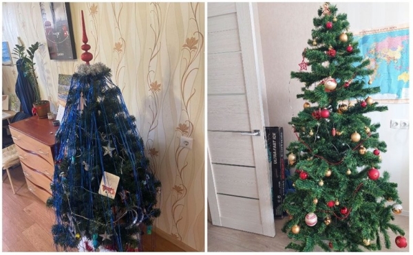 У некоторых белорусов до сих пор стоит новогодняя елка У некоторых белорусов до сих пор стоит новогодняя елка