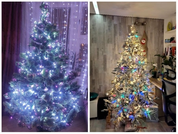 У некоторых белорусов до сих пор стоит новогодняя елка У некоторых белорусов до сих пор стоит новогодняя елка