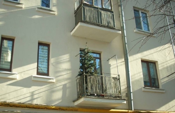 У некоторых белорусов до сих пор стоит новогодняя елка У некоторых белорусов до сих пор стоит новогодняя елка