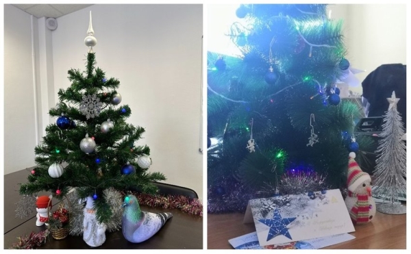 У некоторых белорусов до сих пор стоит новогодняя елка У некоторых белорусов до сих пор стоит новогодняя елка