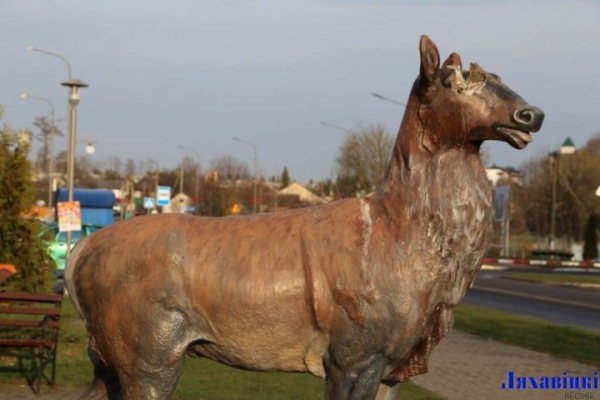 В Ляховичах пьяная компания обломала рога у инсталляции оленя