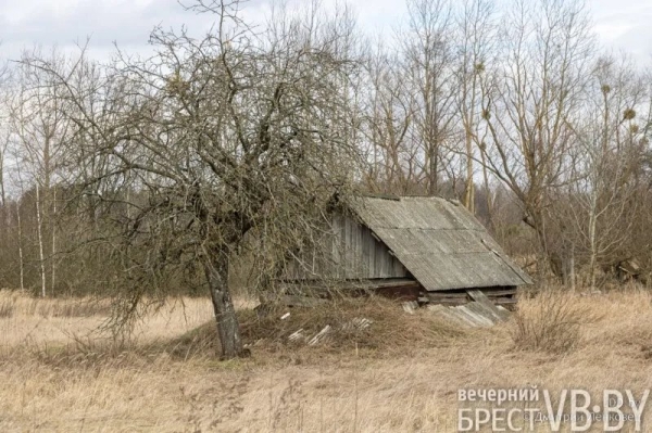 Отселенная жизнь. Как выглядят деревни белорусского Полесья, оставшиеся без людей в 1986-м?