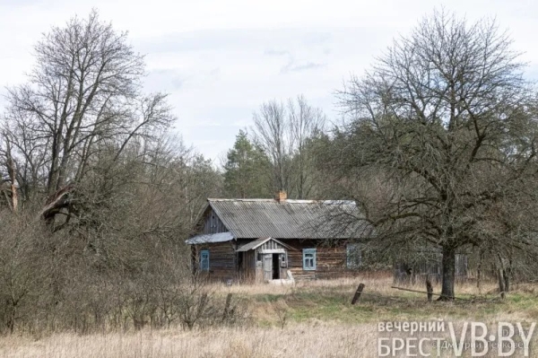 Отселенная жизнь. Как выглядят деревни белорусского Полесья, оставшиеся без людей в 1986-м?