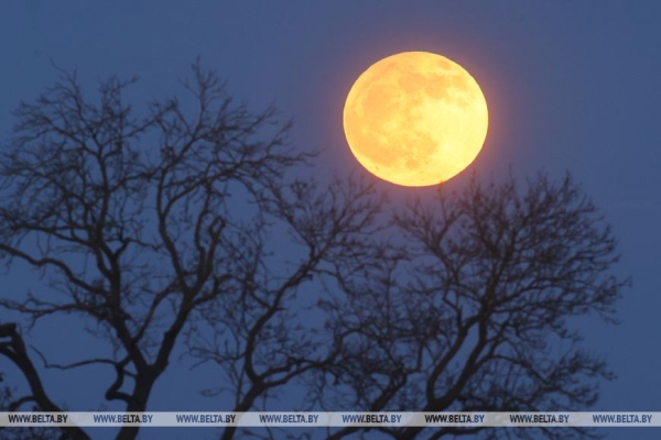 Если пропустили: Посмотрите на вчерашнее полутеневое затмение луны и цветочное полнолуние Если пропустили: Посмотрите на вчерашнее полутеневое затмение луны и цветочное полнолуние