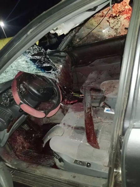 Жесткое ДТП в Беларуси: автомобиль «Рено» столкнулся с лосем