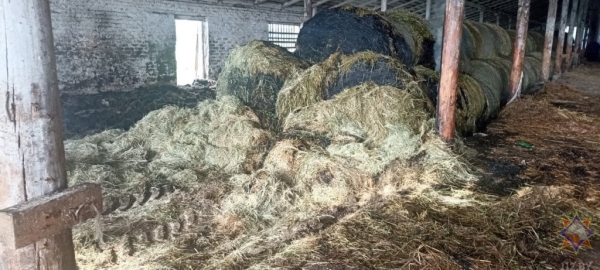 Более 90 тонн сена спасли работники МЧС и хозяйства на пожаре в Столинском районе