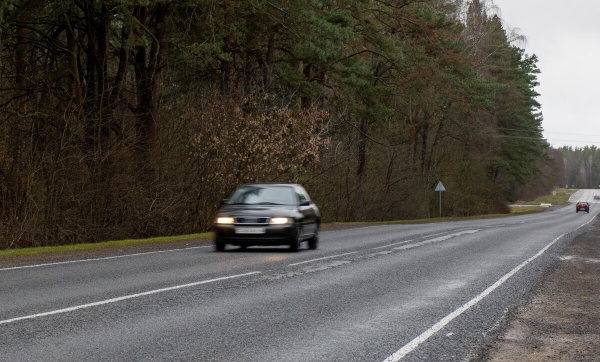 Объехать или идти на таран? Что делать, если на дорогу перед автомобилем выбежало дикое животное Объехать или идти на таран? Что делать, если на дорогу перед автомобилем выбежало дикое животное