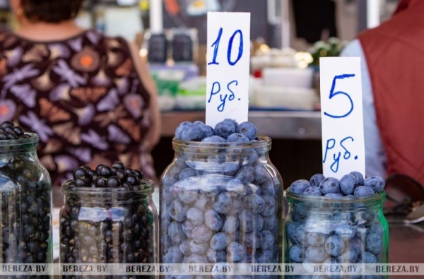 Почем на рынке в Березе продается первая голубика