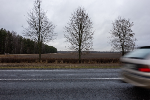 Объехать или идти на таран? Что делать, если на дорогу перед автомобилем выбежало дикое животное Объехать или идти на таран? Что делать, если на дорогу перед автомобилем выбежало дикое животное