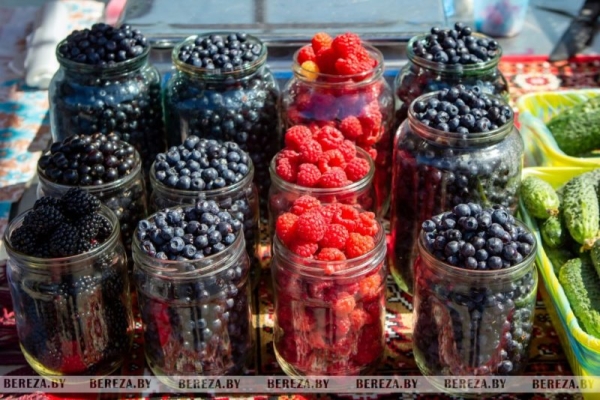 Почем на рынке в Березе продается первая голубика