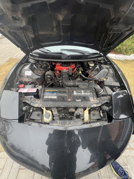 Показываем два редких Pontiac Firebird, которые есть в Беларуси Показываем два редких Pontiac Firebird, которые есть в Беларуси