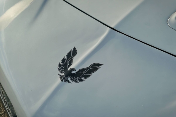 Показываем два редких Pontiac Firebird, которые есть в Беларуси Показываем два редких Pontiac Firebird, которые есть в Беларуси