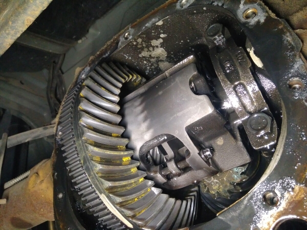 Показываем два редких Pontiac Firebird, которые есть в Беларуси Показываем два редких Pontiac Firebird, которые есть в Беларуси