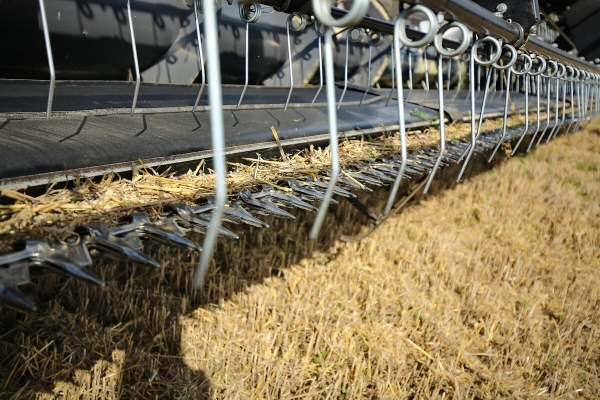 Водитель самого крутого комбайна в Беларуси: «За 1 000 рублей в поле точно бы не работал!»