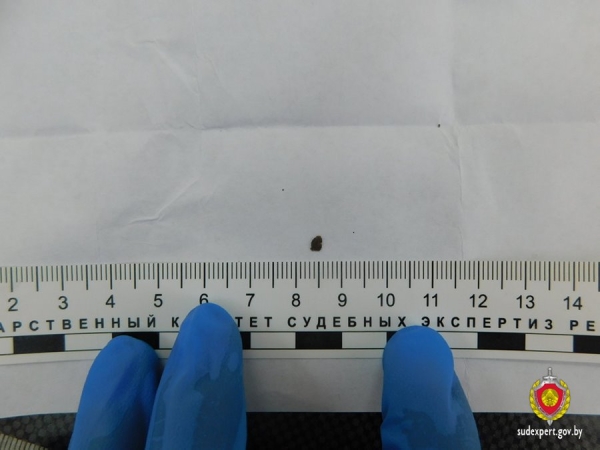 Мужчина на границе в Бресте проглотил содержимое монетницы. Что же там было?