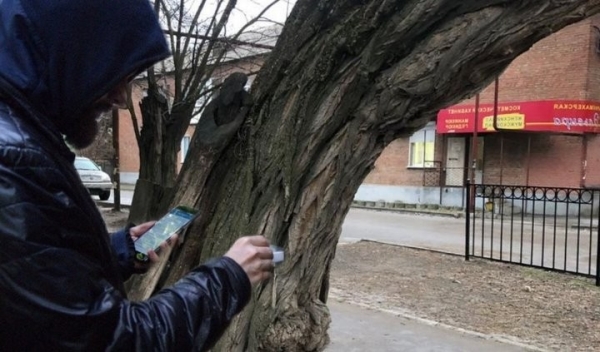 Двое наркозакладчиков на суде в Барановичах получили по 11 лет колонии