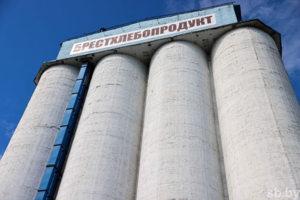 Приемка зерновых в Бресте. Фоторепортаж Приемка зерновых в Бресте. Фоторепортаж
