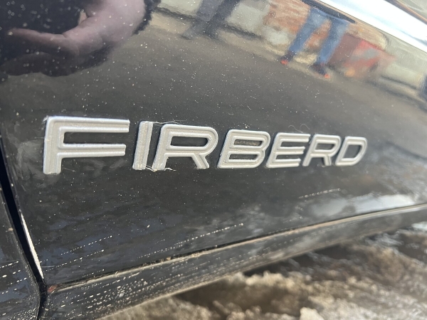 Показываем два редких Pontiac Firebird, которые есть в Беларуси Показываем два редких Pontiac Firebird, которые есть в Беларуси