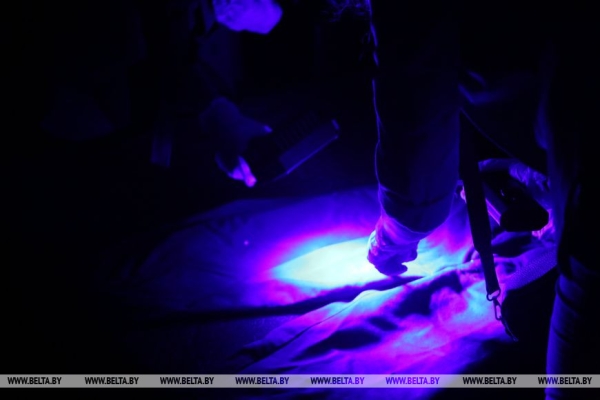 Осмотр места происшествия - дело тонкое, или Как журналисты в Бресте расследовали преступление