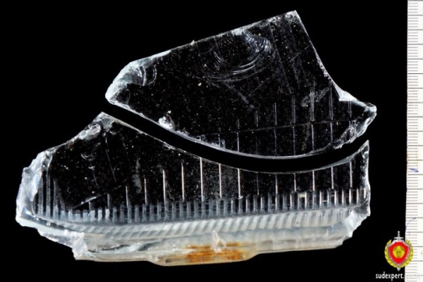 Водителя, сбившего велосипедиста, вычислили по осколкам фар и лобовика авто Водителя, сбившего велосипедиста, вычислили по осколкам фар и лобовика авто