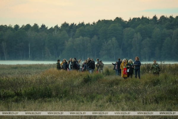 Туристов зовут в Беловежскую пущу послушать чарующие звуки природы