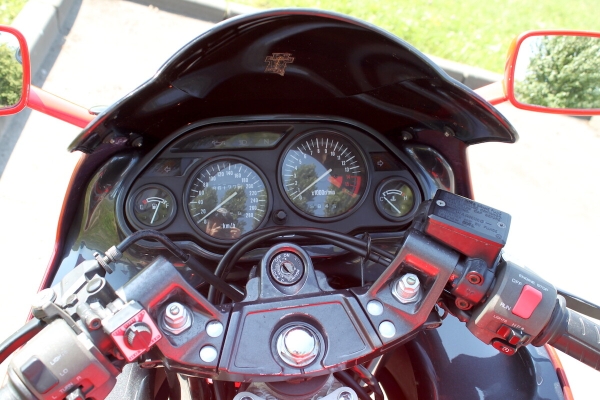 «Kawasaki разгоняется до 250 км/ч, но я с такой скоростью не езжу». Пообщались с создателем необычного Парка валунов в Бресте