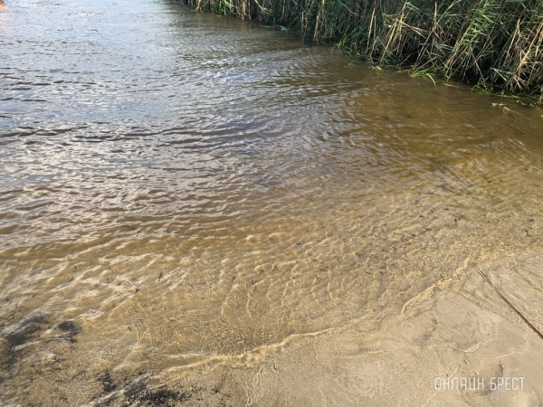 В Бресте в реке обнаружено тело женщины В Бресте в реке обнаружено тело женщины