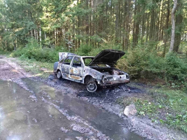 Угнанный Passat нашли сгоревшим в лесу в Витебской области Угнанный Passat нашли сгоревшим в лесу в Витебской области