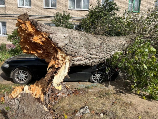 Смотрите, что натворила непогода на Брестчине Смотрите, что натворила непогода на Брестчине