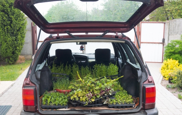 Брестчанин превратил VW Passat (B4) в «кветкамобиль» Брестчанин превратил VW Passat (B4) в «кветкамобиль»