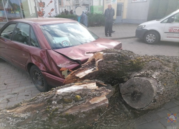 Смотрите, что натворила непогода на Брестчине Смотрите, что натворила непогода на Брестчине