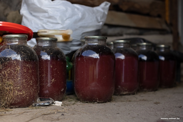 «За день выручка может быть 1000 рублей». Белорусы о том, как закатки и варенье конвертируются в море и iPhone