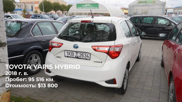 Автоподбор в Бресте — нечестный бизнес? Какие свежие модели можно отыскать в регионе