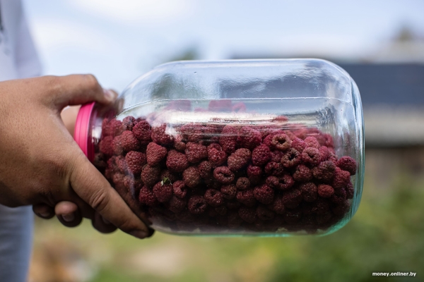 «За день выручка может быть 1000 рублей». Белорусы о том, как закатки и варенье конвертируются в море и iPhone