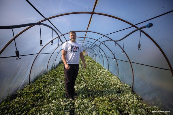 «За день выручка может быть 1000 рублей». Белорусы о том, как закатки и варенье конвертируются в море и iPhone