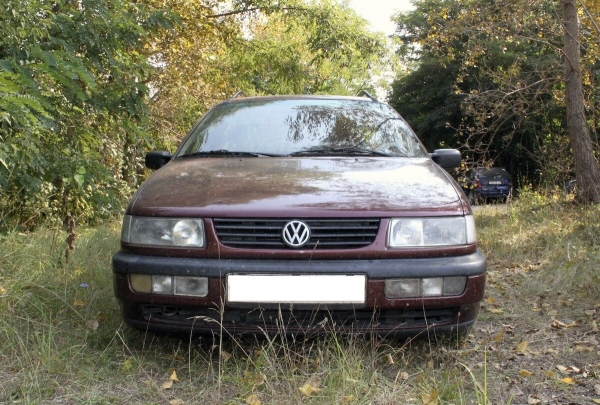 Брестчанин превратил VW Passat (B4) в «кветкамобиль» Брестчанин превратил VW Passat (B4) в «кветкамобиль»