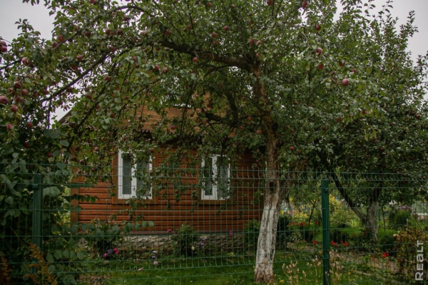 «Картинка почти никогда не передает реальность». Как молодая пара искала дом своей мечты «Картинка почти никогда не передает реальность». Как молодая пара искала дом своей мечты