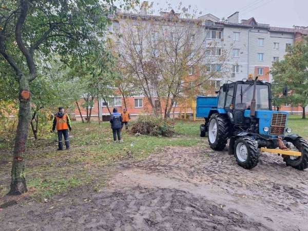 Участники «Марафона чистоты» навели порядок на Дубровке в Бресте Участники «Марафона чистоты» навели порядок на Дубровке в Бресте