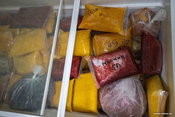 «За день выручка может быть 1000 рублей». Белорусы о том, как закатки и варенье конвертируются в море и iPhone