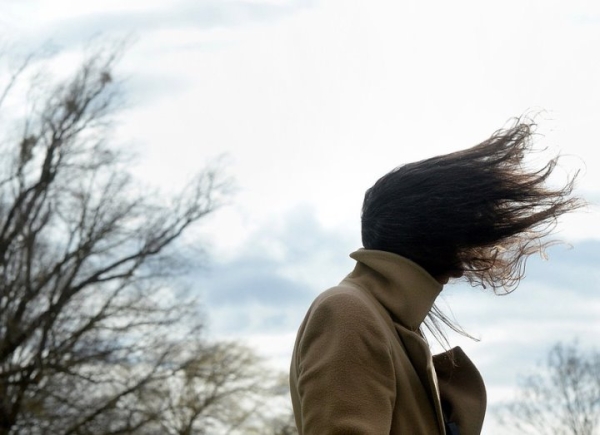 «В сторону мамы с племяшкой летели огромные ветки, и вдруг к ним подбежал парень». Минчанка о чуде посреди урагана «В сторону мамы с племяшкой летели огромные ветки, и вдруг к ним подбежал парень». Минчанка о чуде посреди урагана