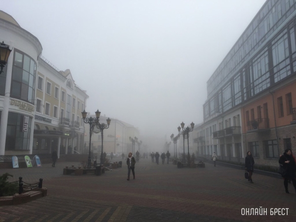 В Бресте и области 24 октября объявлен оранжевый уровень из-за тумана