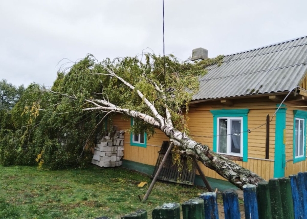 Смотрите, что натворила непогода на Брестчине Смотрите, что натворила непогода на Брестчине