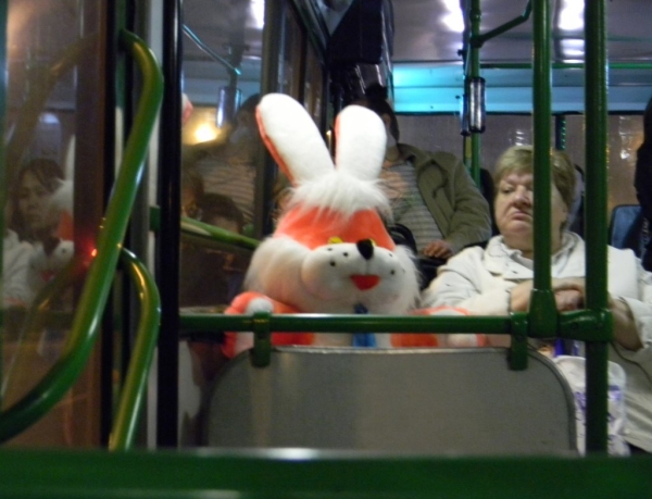 В минском транспорте стало на 10% меньше зайцев. Помогло одно новшество
 В минском транспорте стало на 10% меньше зайцев. Помогло одно новшество