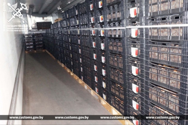 Брестские таможенники установили два факта незаконного ввоза в Беларусь луковиц тюльпанов Брестские таможенники установили два факта незаконного ввоза в Беларусь луковиц тюльпанов