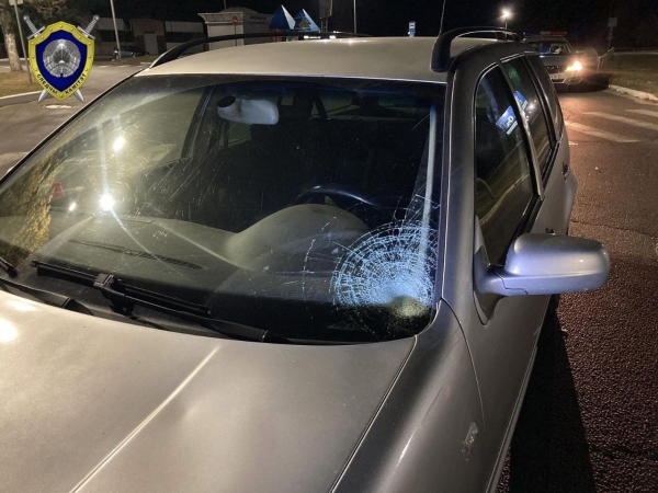 В Мозыре водитель сбил на переходе мать с ребенком