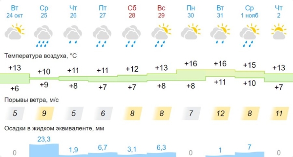 В Бресте и области 24 октября объявлен оранжевый уровень из-за тумана