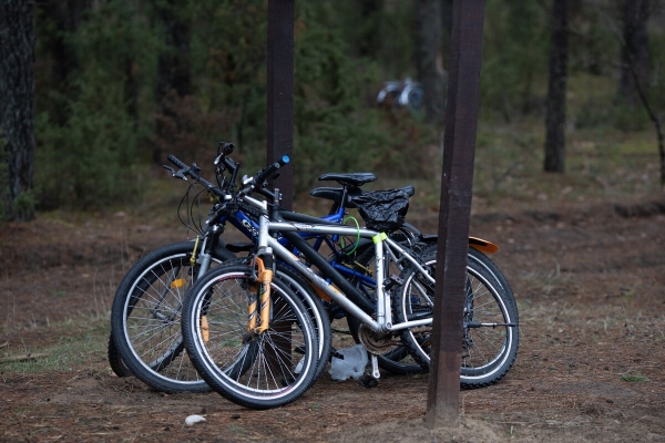 «Ругань здесь обычное дело!» Репортаж с белорусско-литовской границы, где очередь растянулась на неделю «Ругань здесь обычное дело!» Репортаж с белорусско-литовской границы, где очередь растянулась на неделю