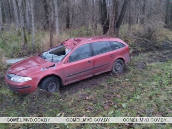 Лось стал причиной ДТП со смертельным исходом Лось стал причиной ДТП со смертельным исходом