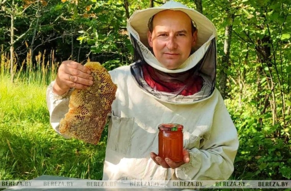 Как добывают жидкое золото природы, рассказал пчеловод из Брестской области Как добывают жидкое золото природы, рассказал пчеловод из Брестской области